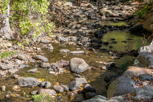 Homes for sale in Warren, CT | 1 N Shore Rd, Warren, CT 06777 | MLS# 24130885