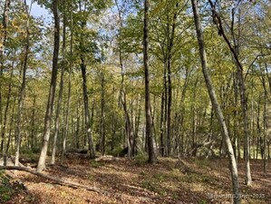 Homes for sale in Roxbury, CT | 69 Moosehorn Rd, Roxbury, CT 06783 | MLS# 24132301