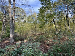 Homes for sale in Roxbury, CT | 69 Moosehorn Rd, Roxbury, CT 06783 | MLS# 24132301