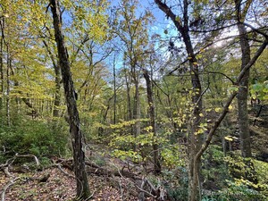 Homes for sale in Roxbury, CT | 69 Moosehorn Rd, Roxbury, CT 06783 | MLS# 24132301