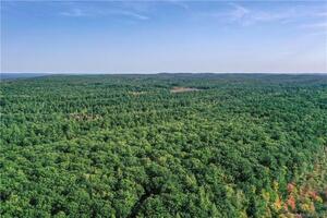 Homes for sale in Woodstock, CT | 00 Ide Perrin Rd, Woodstock, CT 06281 | MLS# 24132284