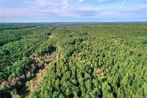 Homes for sale in Woodstock, CT | 00 Ide Perrin Rd, Woodstock, CT 06281 | MLS# 24132284