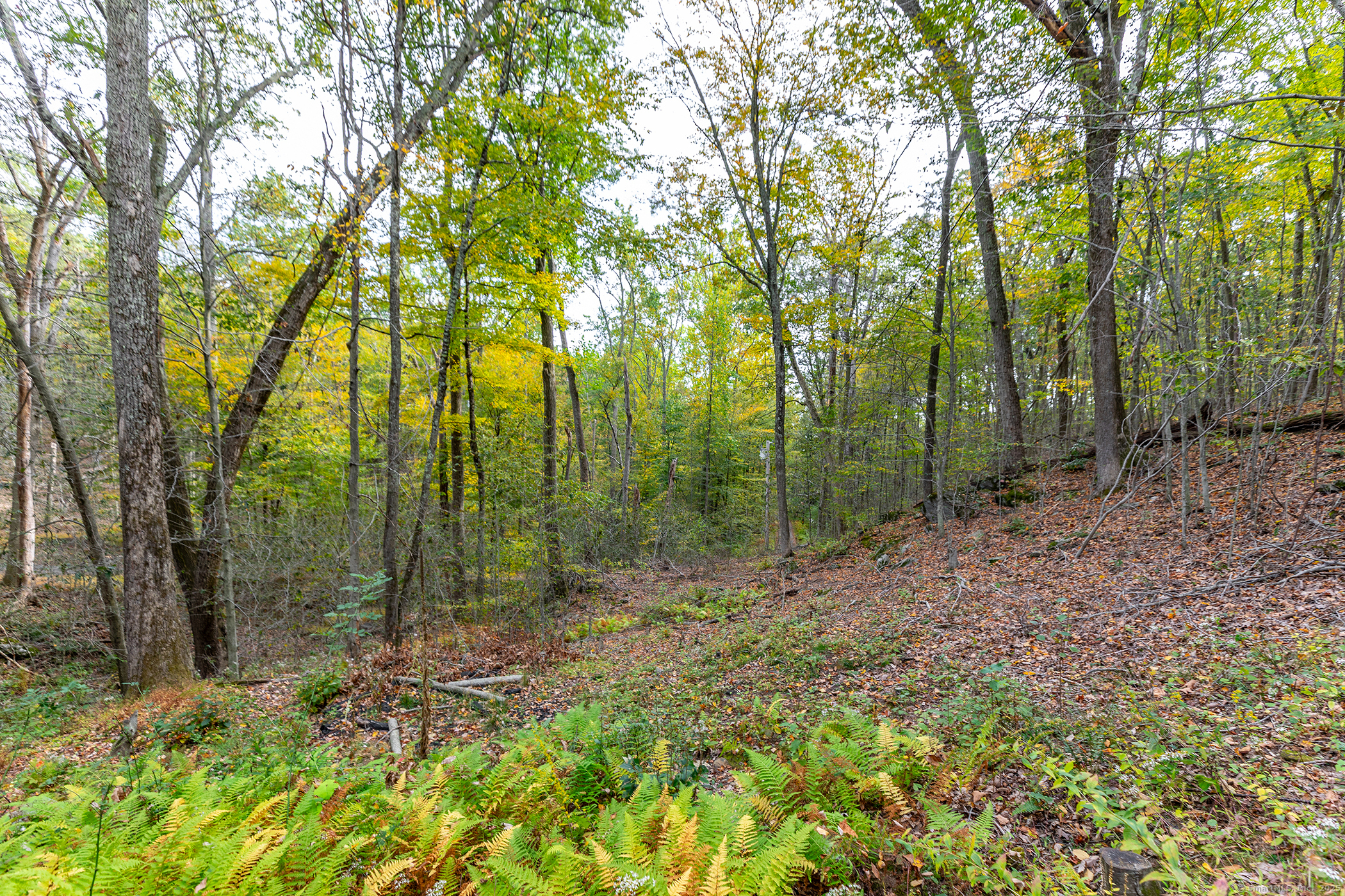 Homes for sale in Roxbury, CT | 38 W Mountain Ln, Roxbury, CT 06783 | MLS# 24132367