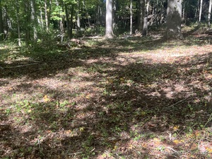 Homes for sale in Waterford, CT | 77 Foster Rd, Waterford, CT 06385 | MLS# 24127953