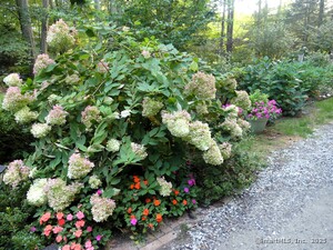 Homes for sale in Columbia, CT | 4 Timber Trl, Columbia, CT 06237 | MLS# 24133074