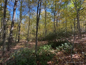 Homes for sale in Haddam, CT | 428 Plains Rd, Haddam, CT 06438 | MLS# 24133044