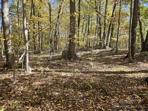 Homes for sale in Danbury, CT | (Undisclosed), Danbury, CT 06811 | MLS# 24126337