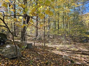 Homes for sale in Danbury, CT | (Undisclosed), Danbury, CT 06811 | MLS# 24126337