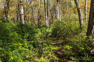 Homes for sale in Granby, CT | 20 Edgerton Rd, Granby, CT 06090 | MLS# 24133892