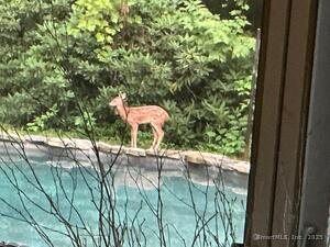 Homes for sale in Middlebury, CT | 225 Crest Rd, Middlebury, CT 06762 | MLS# 24133783