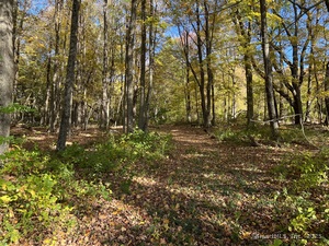 Homes for sale in Kent, CT | Spooner Hill Rd, Kent, CT 06757 | MLS# 24077524