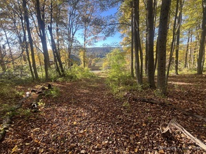 Homes for sale in Kent, CT | Spooner Hill Rd, Kent, CT 06757 | MLS# 24077524