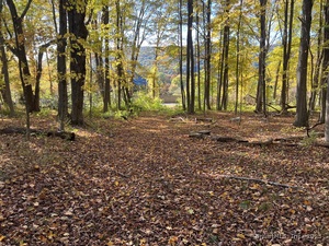 Homes for sale in Kent, CT | Spooner Hill Rd, Kent, CT 06757 | MLS# 24077524