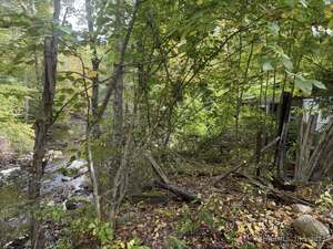 Homes for sale in Burlington, CT | 144 Belden Rd #APT A, Burlington, CT 06013 | MLS# 24134502