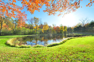 Homes for sale in Granby, CT | 86 Case St, Granby, CT 06090 | MLS# 24134087