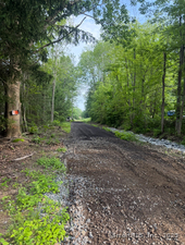 Homes for sale in Litchfield, CT | Reder Rd, Litchfield, CT 06759 | MLS# 24133780