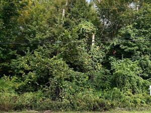 Homes for sale in Somers, CT | 142 Turnpike Rd, Somers, CT 06071 | MLS# 24134966