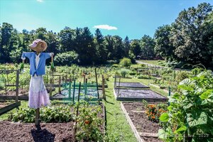 Homes for sale in Southbury, CT | 487 Heritage Vlg #A, Southbury, CT 06488 | MLS# 24135461