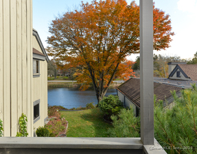 Homes for sale in Southbury, CT | 44 Heritage Vlg #F, Southbury, CT 06488 | MLS# 24135482