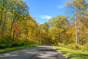 Homes for sale in Ridgefield, CT | Ives Ct, Ridgefield, CT 06877 | MLS# 24135652