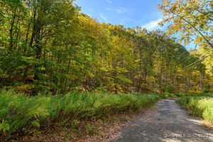 Homes for sale in Ridgefield, CT | Ives Ct, Ridgefield, CT 06877 | MLS# 24135652