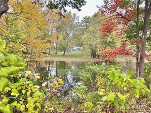 Homes for sale in Farmington, CT | 243 New Britain Ave #243, Farmington, CT 06085 | MLS# 24135670