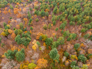 Homes for sale in Killingly, CT | (Undisclosed), Killingly, CT 06239 | MLS# 24135933