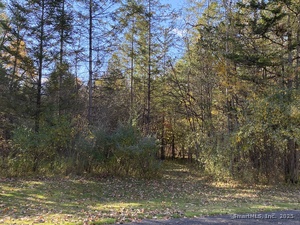 Homes for sale in North Canaan, CT | 00 N Elm St, North Canaan, CT 06018 | MLS# 24135593