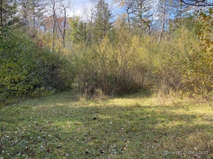 Homes for sale in North Canaan, CT | 00 N Elm St, North Canaan, CT 06018 | MLS# 24135593