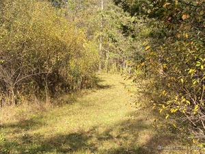 Homes for sale in North Canaan, CT | 00 N Elm St, North Canaan, CT 06018 | MLS# 24135593