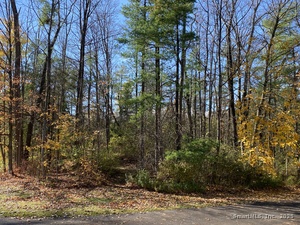 Homes for sale in North Canaan, CT | 00 N Elm St, North Canaan, CT 06018 | MLS# 24135593