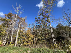 Homes for sale in Barkhamsted, CT | 160 W West Hill Rd, Barkhamsted, CT 06063 | MLS# 24136290