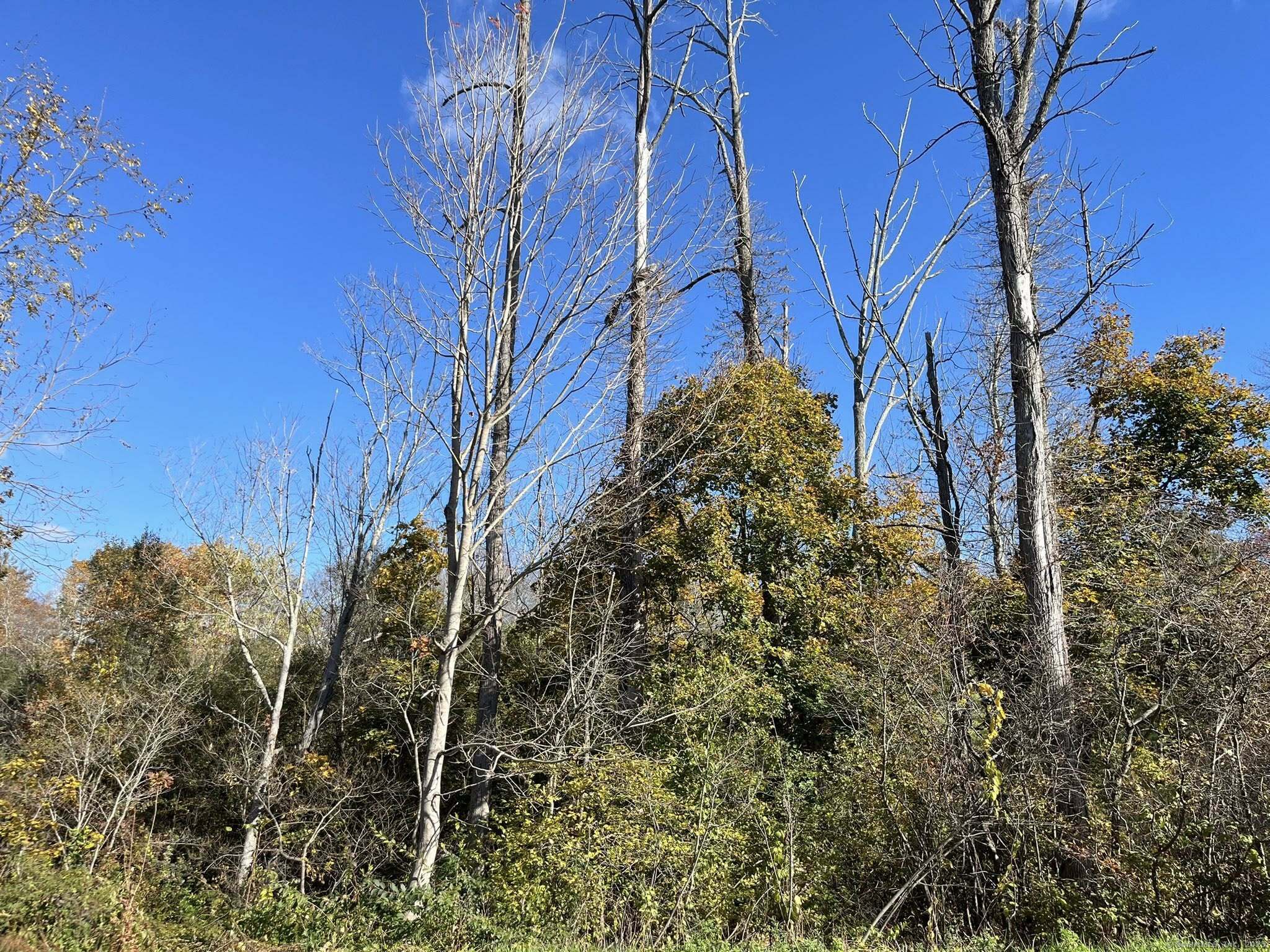 Homes for sale in Barkhamsted, CT | 160 W West Hill Rd, Barkhamsted, CT 06063 | MLS# 24136290