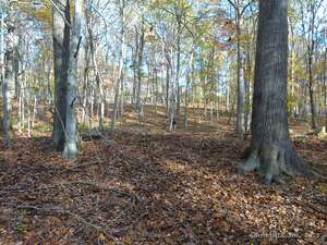 Homes for sale in East Haddam, CT | 253 Clark Hill Rd, East Haddam, CT 06423 | MLS# 24136283