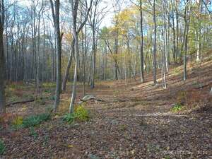 Homes for sale in East Haddam, CT | 253 Clark Hill Rd, East Haddam, CT 06423 | MLS# 24136283