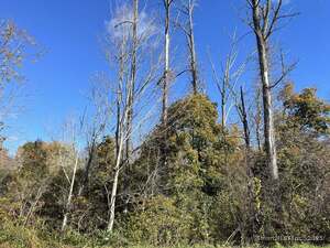 Homes for sale in Barkhamsted, CT | 200 W West Hill Rd Rd, Barkhamsted, CT 06063 | MLS# 24136430