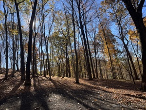 Homes for sale in Prospect, CT | 81 Mountain Rd, Prospect, CT 06712 | MLS# 24104671