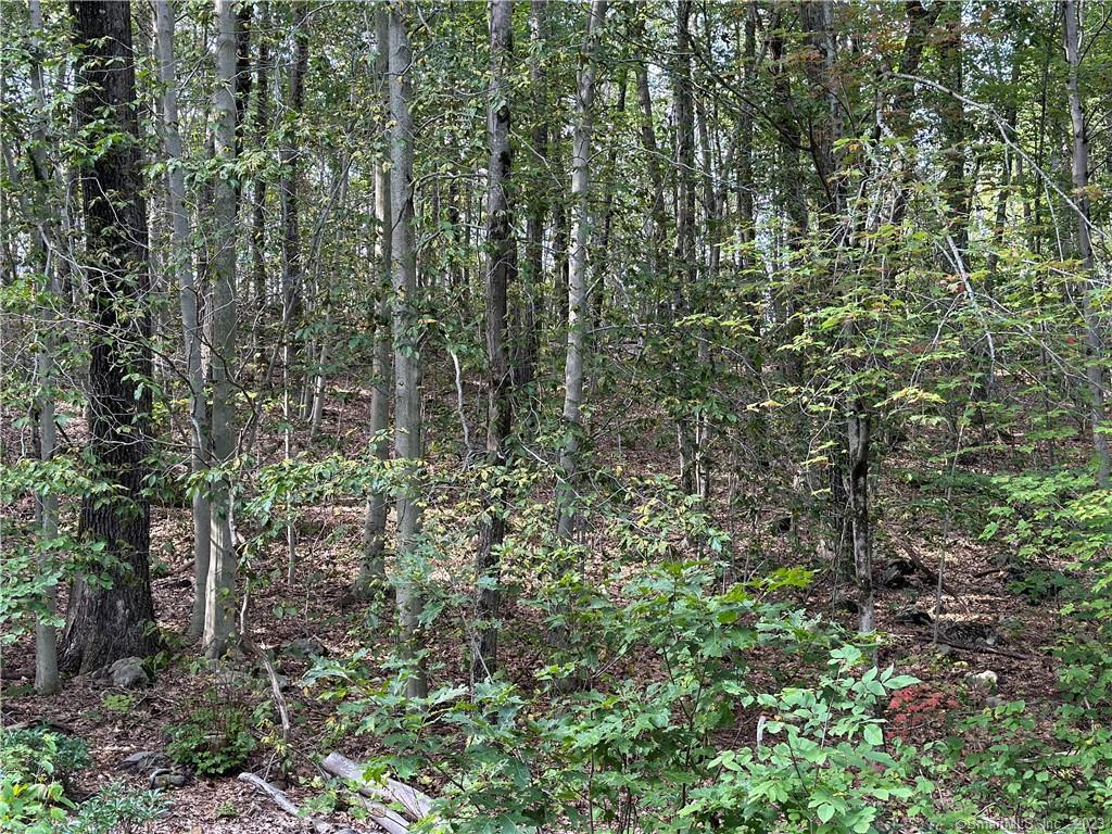 00 Above All, Warren, 06754, 0 , 0 ,0,Lots And Land For Sale,For Sale,Above All,0,24136760