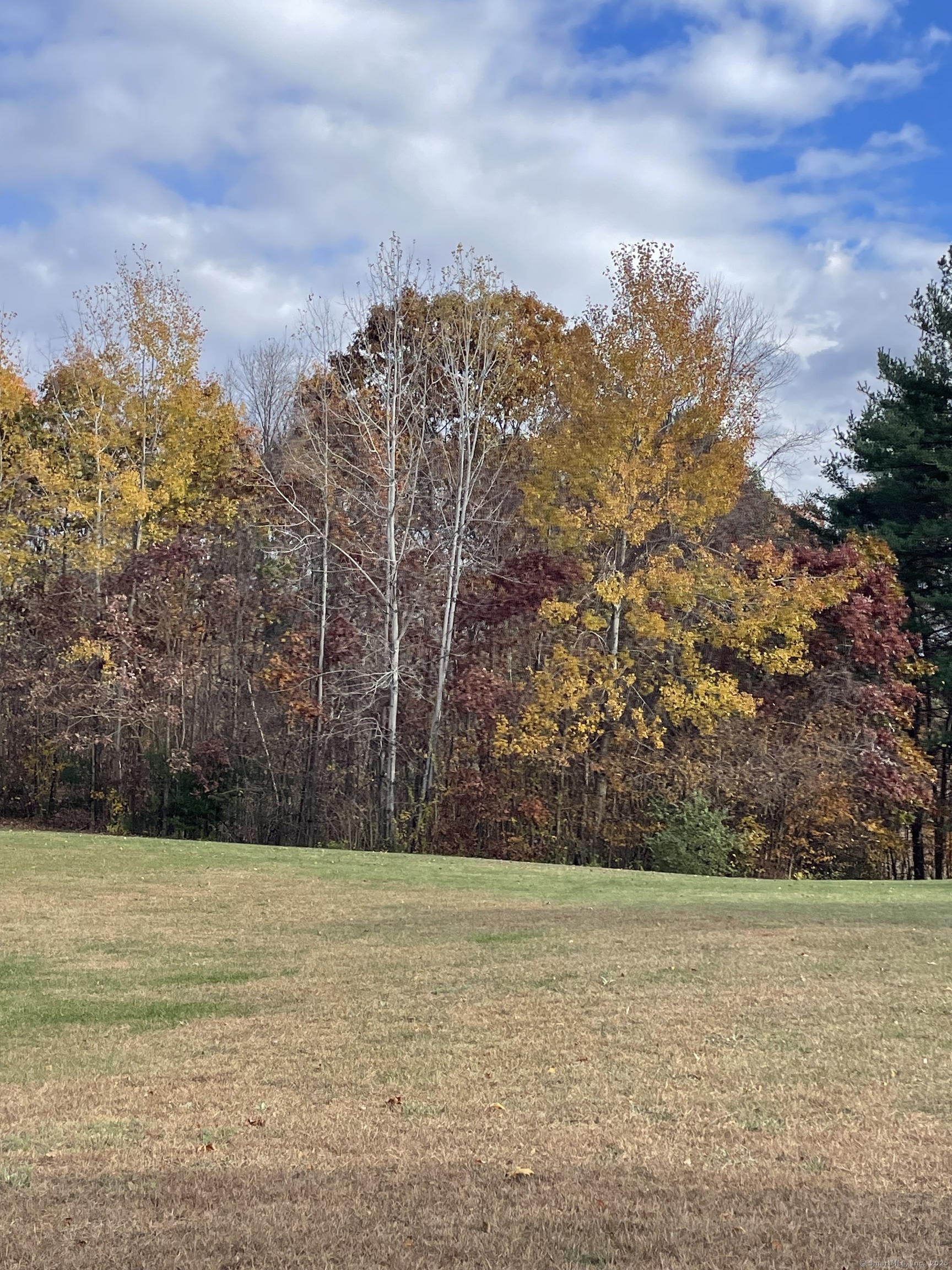 86 Buff Cap, Tolland, 06084, 2 Bedrooms Bedrooms, 0 ,2 BathroomsBathrooms,Residential Rental,For Sale,Buff Cap,0,24136724