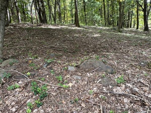 Homes for sale in Warren, CT | 00 Sackett Hill Rd, Warren, CT 06754 | MLS# 24136766