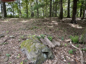 Homes for sale in Warren, CT | 00 Sackett Hill Rd, Warren, CT 06754 | MLS# 24136766