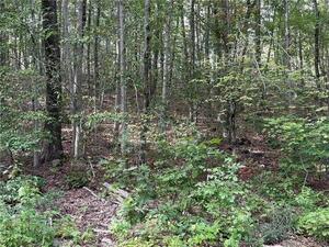 Homes for sale in Warren, CT | 00 Above All Rd, Warren, CT 06754 | MLS# 24136760