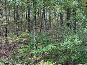 Homes for sale in Warren, CT | 00 Above All Rd, Warren, CT 06754 | MLS# 24136760