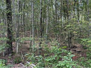 Homes for sale in Warren, CT | 00 Above All Rd, Warren, CT 06754 | MLS# 24136760