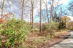 Homes for sale in New Milford, CT | 0 Saw Mill Rd, New Milford, CT 06776 | MLS# 24136890