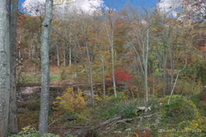 Homes for sale in Westbrook, CT | 821 Essex Rd, Westbrook, CT 06498 | MLS# 24134917