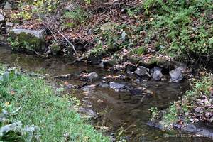 Homes for sale in Kent, CT | 103 Geer Mountain Rd, Kent, CT 06785 | MLS# 24131797