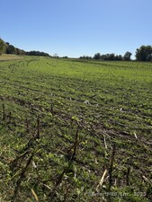 Homes for sale in Franklin, CT | 20 Holton Rd, Franklin, CT 06254 | MLS# 24134909