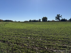 Homes for sale in Franklin, CT | 20 Holton Rd, Franklin, CT 06254 | MLS# 24134909