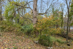 Homes for sale in Killingly, CT | 37 Katherine Ave, Killingly, CT 06239 | MLS# 24136993